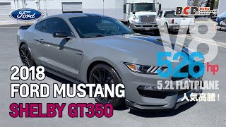 ヤマタイ マスタングボディー MUSTANG FASTBACK | フォード、マスタング・中古車をお探しなら