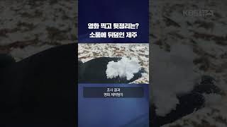 제주 오름 뒤덮은 &#39;가짜 눈&#39;의 정체는? #shorts / KBS