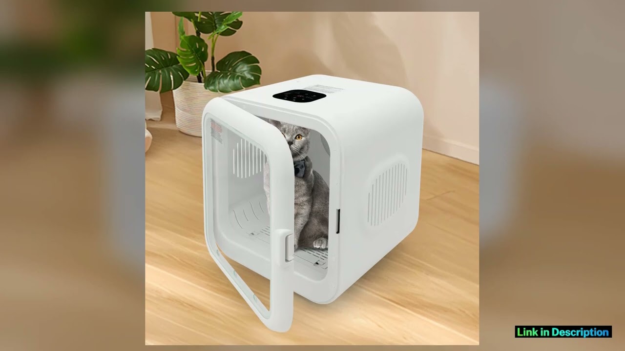 62L563qt Portable 110V 800W Cat Dog Dryer Box Machine Temperature And Time Adjustable Special Pick