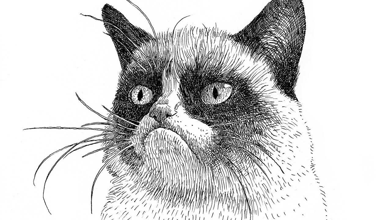 Speed Portrait Grumpy Cat - Time Lapse - YouTube