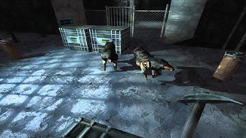 Penumbra : Overture [Episode 5] whose RED?