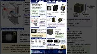 CT Scan Pixel And Voxel Explained | CT Imaging Basics Full Easy Notes | Radiology Study #shorts #fyp