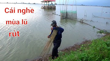 Cắm Câu Cá Lóc Đồng | Táp Quát Lưỡi,Ẩm Thực Lẩu Cháo Cá Lóc Đồng. #MSMQ67