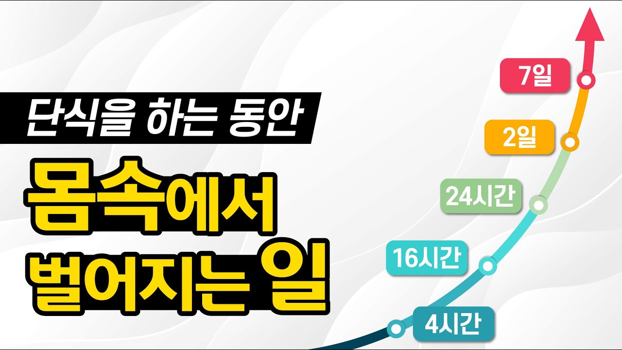 간헐적단식을 해볼까 고민할 때 보면 좋은 영상