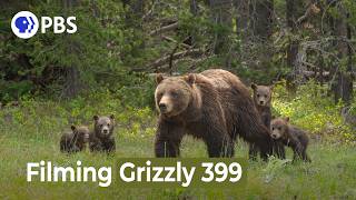 Filming Grizzly 399