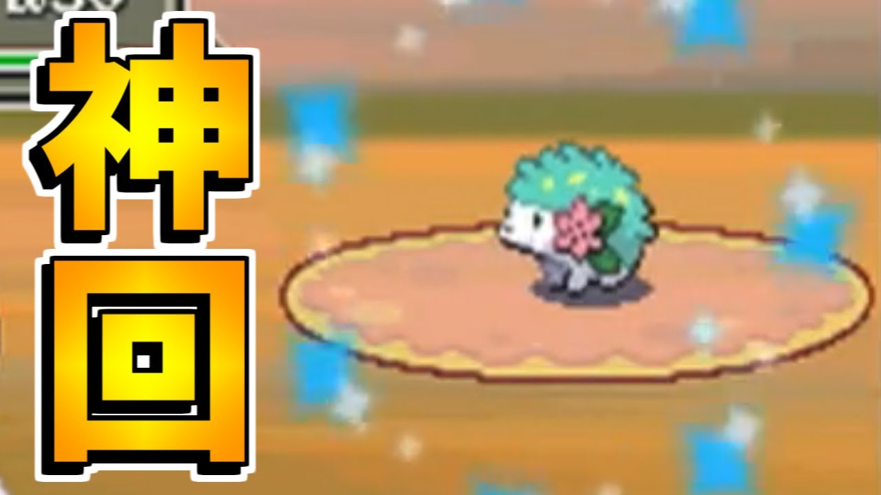 ポケモンpt 色違いシェイミが出て発狂 3度目の正直なるか プラチナ Shiny Shaymin Youtube