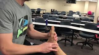 Ankle and Foot Pronation Protocol pt. 2 Met. Heads