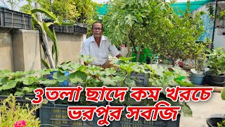 কম খরচে তিন তলা ছাদের উপর সবজি চাষের পদ্ধতি