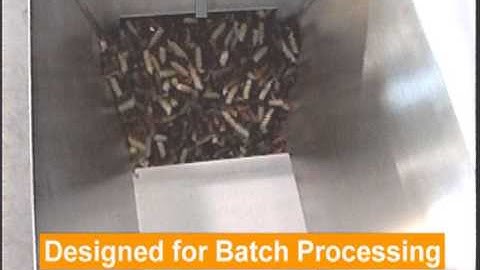 Weigh Right infeed conveyors.mpg