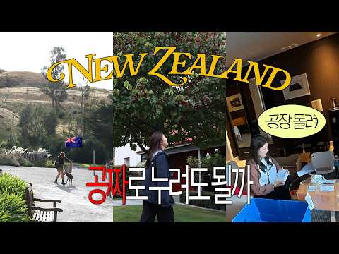 공짜로 여행할라고 선택한 직업 이거거등~~ | 뉴질랜드 5박7일 출장 브이로그🇳🇿 | 퀸즈타운〰️오클랜드 | 퀸즈타운가면 호텔은 무조건 여기! | 직장인출장브이로그 | 에어뉴질랜드