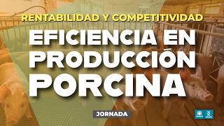 🐖 JORNADA | Eficiencia en la producción porcina: rentabilidad y competitividad