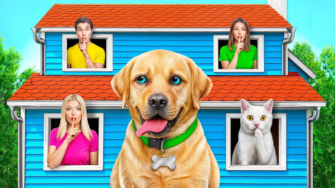 Экстремальные прятки Челлендж с Собакой от Multi DO Smile