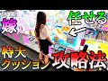 チャンスタイムを嫁に譲る!!奇跡は2度起こるのか!?特大サイズクッション攻略法!