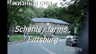 Жизнь В Сша Schenley Farms,  1906 ,  Pittsburg Фильм 176