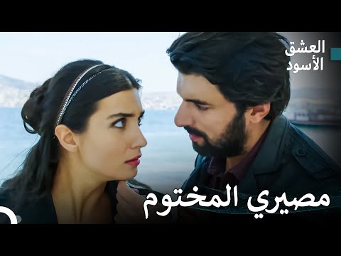 الحب الكبير الذي اشتعل من الألم المشترك 15 العشق الأسود