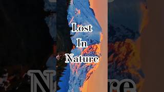 5 Minutes of This Changes Everything 🍃✨ #mindrelax #shorts