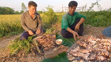 Ra bờ lúa bắt chuột nướng tươi, ăn lúa mới chín nên con nào cũng béo - cdmt 870