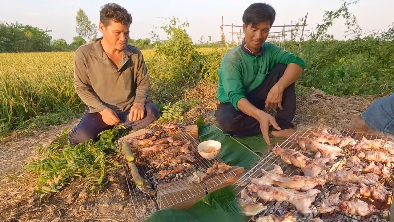 Ra bờ lúa bắt chuột nướng tươi, ăn lúa mới chín nên con nào cũng béo - cdmt 870