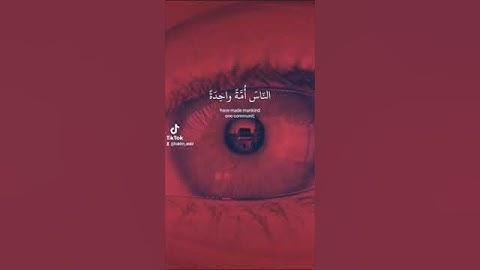 تلاوات هادئة #القران_الكريم #عبد_العزيز_سحيم #explore #حالات_واتس #اكسبلور #راحة_نفسية