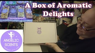 Angelic Scents - £20 Mystery Wax Melt Box Unboxing - December 2022- Etsy Shop - One Off Mystery Box