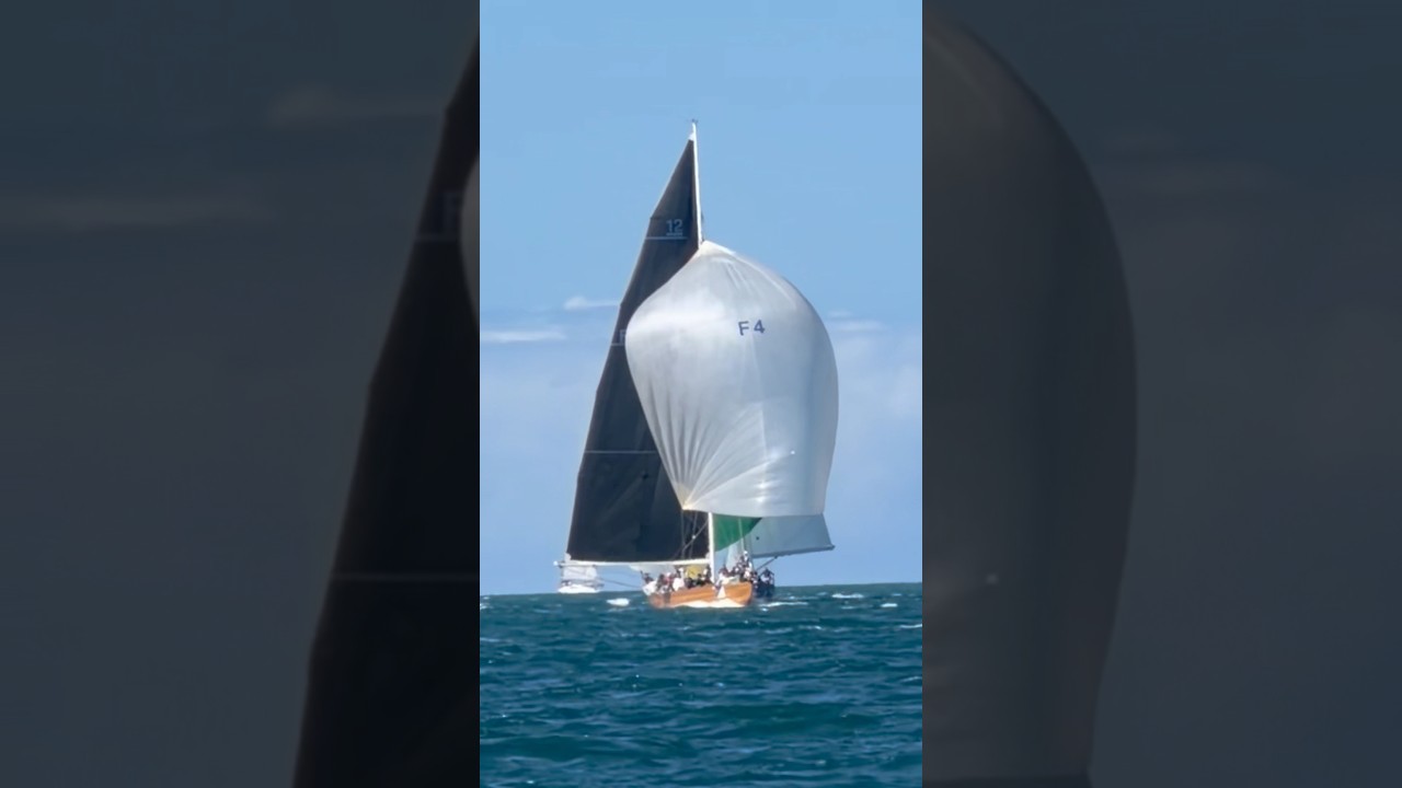 ⁣#sivi #sailing #sail #veleiro #boat #barco #regata