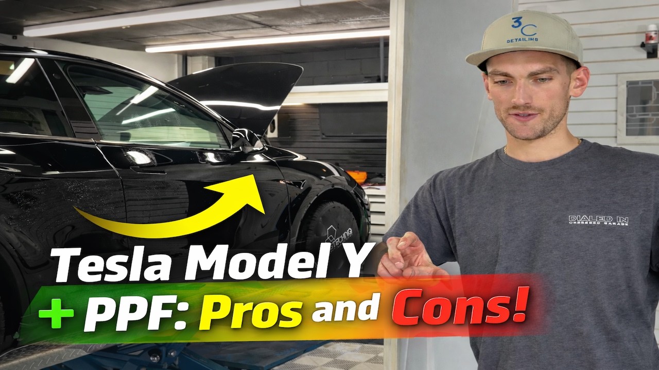PPF after 6 months on a Model Y -WoRth iT?