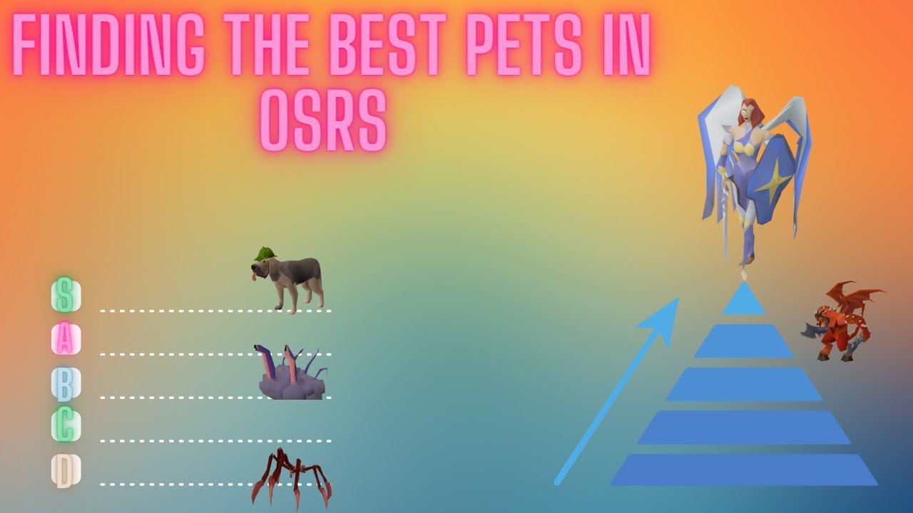 OSRS Pet Tier List The Best & Worst Pets in Old School Runescape YouTube