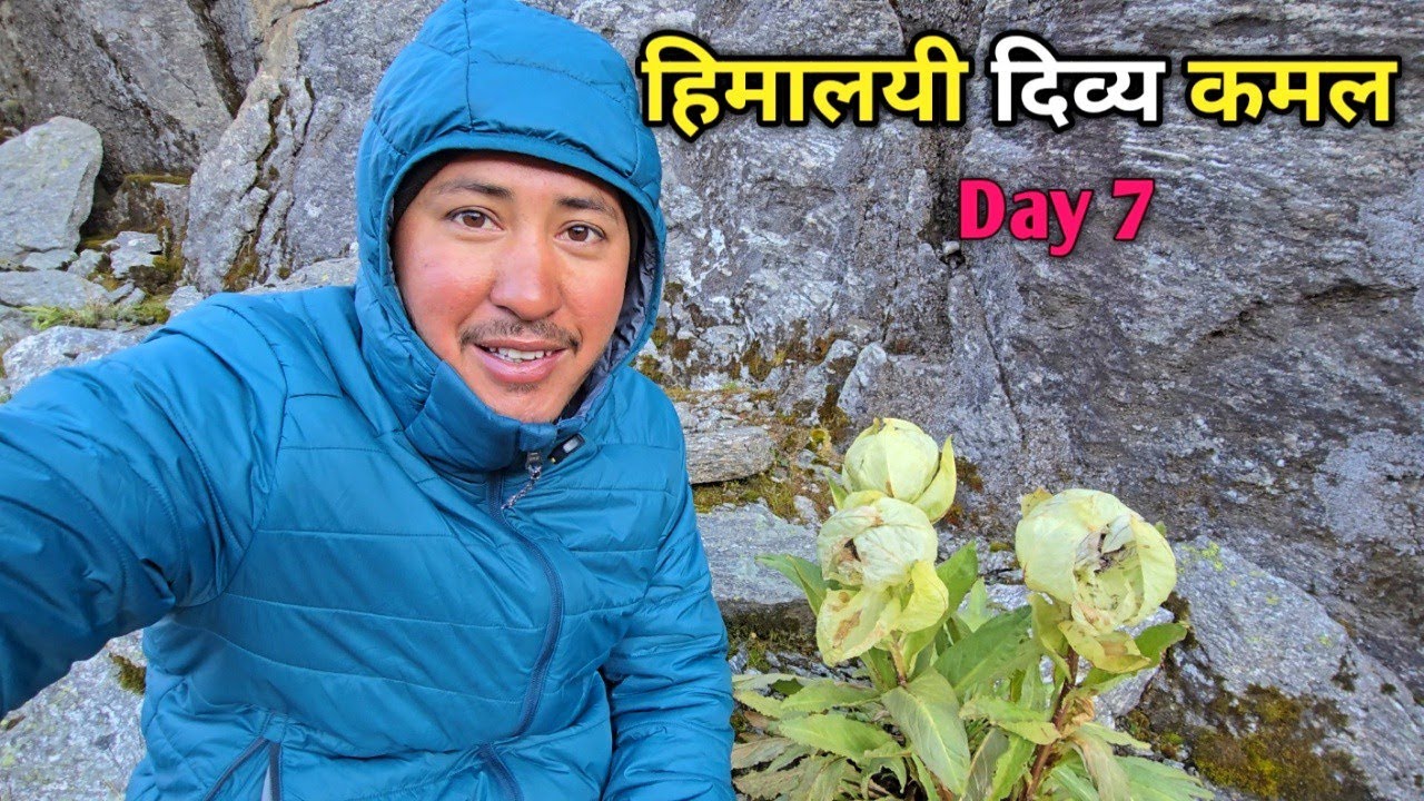 सुजल सरोवर के पास दिखा दिव्य ब्रह्मकमल || Panpatiya Col Trek || Cool pahadi