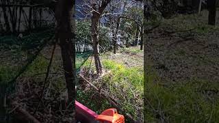 VID 20230304 121639