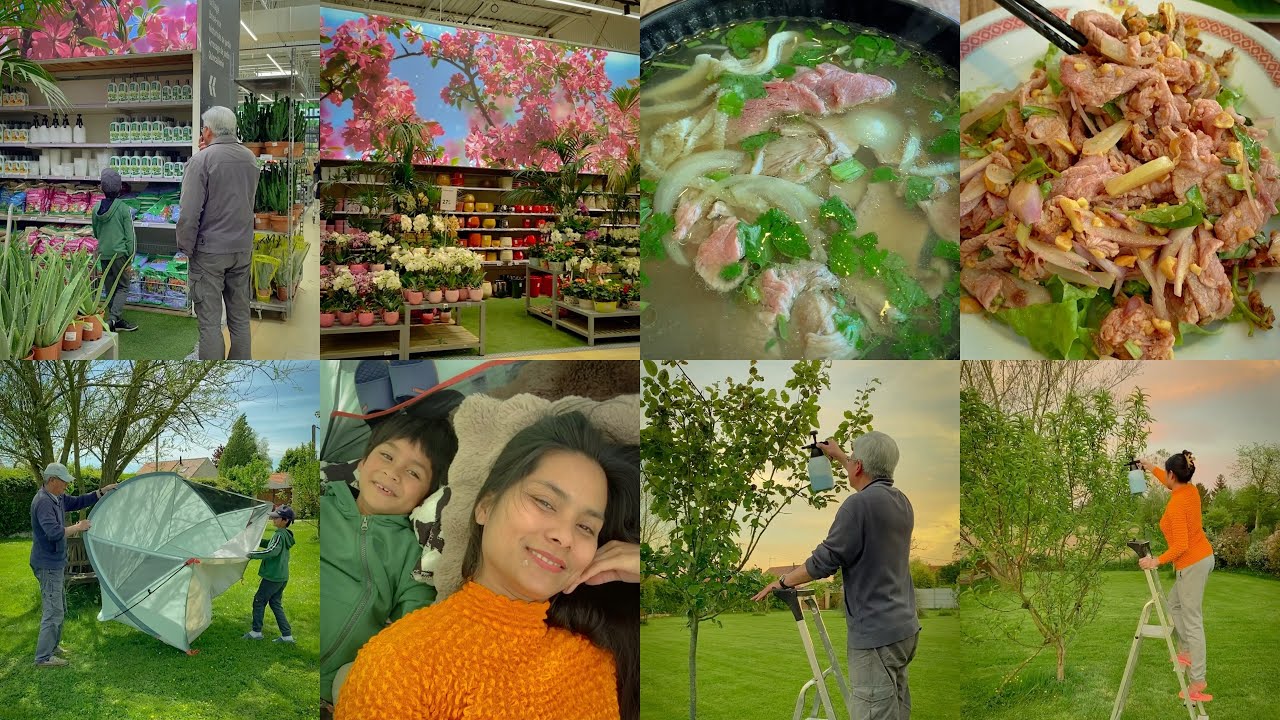 ទិញថ្នាំបាញ់កំចាត់ផ្សិតនៅលេីដេីមឈេឺនិងសកម្មភាពបែបសប្បាយៗរបស់គ្រួសារខ្ញុំ