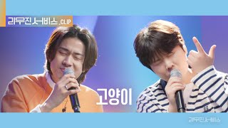 [리무진 서비스 클립] 고양이 | 정승환 X 이무진 | JungSeungHwan X LEE MU JIN