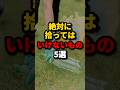 ㊗️340万回再生‼︎落ちていても絶対に拾ってはいけないもの5選 #都市伝説 #ホラー #雑学