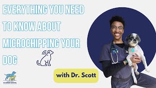 Everything You Need to Know About Microchipping Your Dog