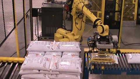 Model BP2000 Plastic Bag Palletizer Video by Automated Cells and Equipment