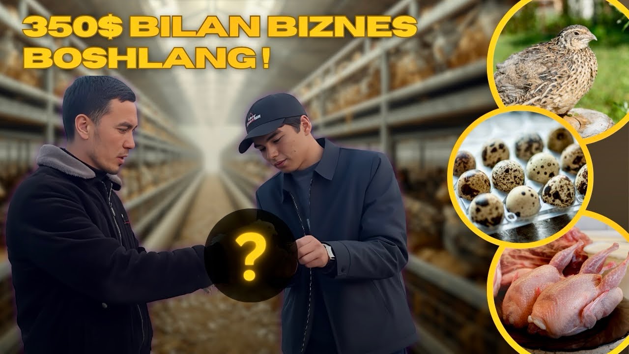 Bedana biznesi | bedana narxlari 2025-2026 | бедана нархлари | енг арзон бизнес🪶