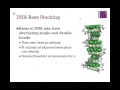 154-Structure & Stability of DNA