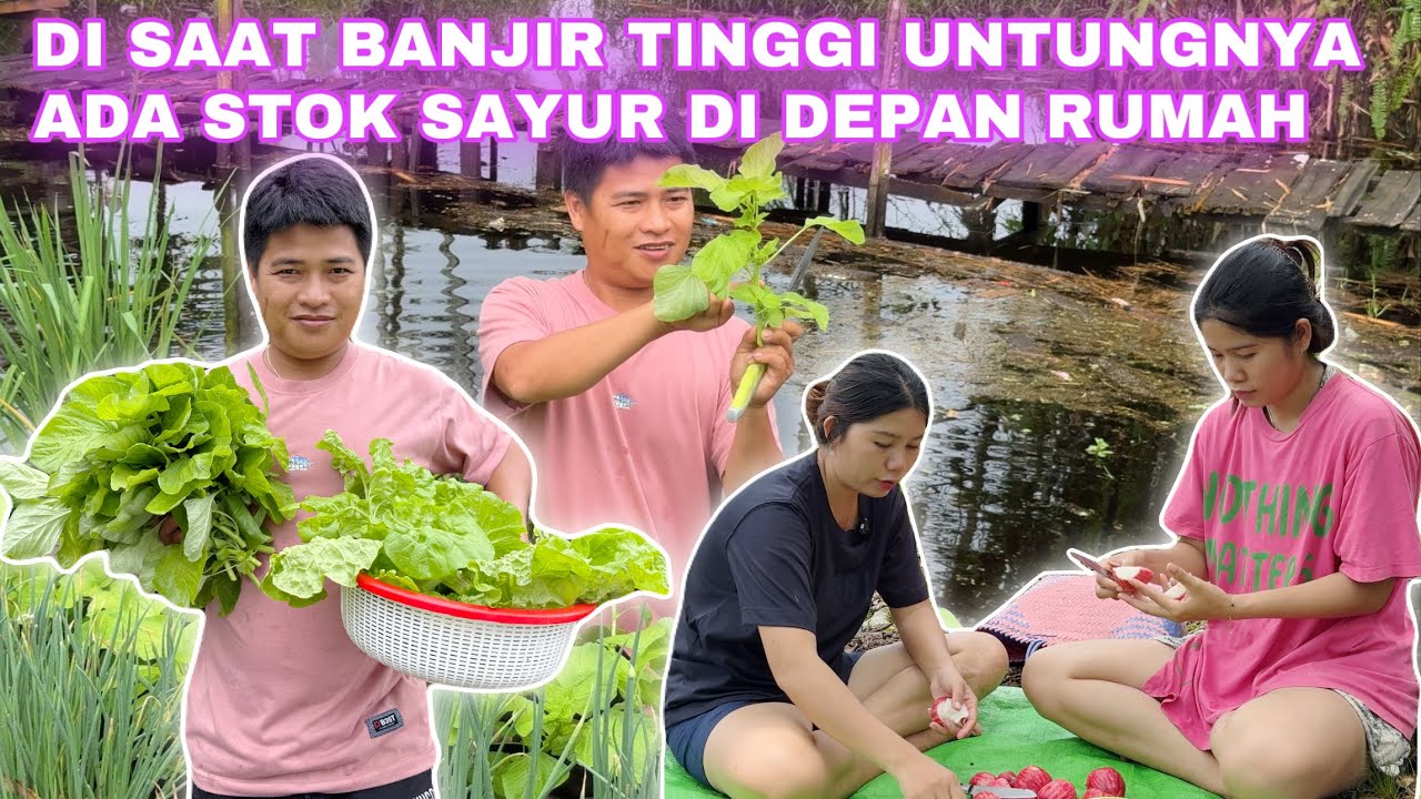BIKIN SAMBAL KECAP DAN NOVI BAWA SAMBAL ANDALANNYA KAMI KEKEBUN PANEN JAMBU MAKAN DIBAWA POHON