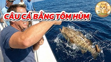 Phương Pháp Câu Cá CÓ MỘT KHÔNG HAI: Đổi Tôm Hùm lấy 9 Con CÁ MÚ KHỦNG Trị Giá 14 Triệu VNĐ