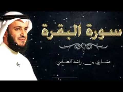 الربع السادس من سورة البقرة ولقد جاءكم موسى 
