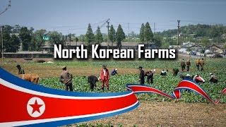 North Korean Farms (May 2014)