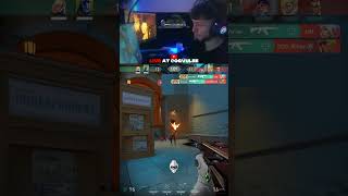 We Did Placements