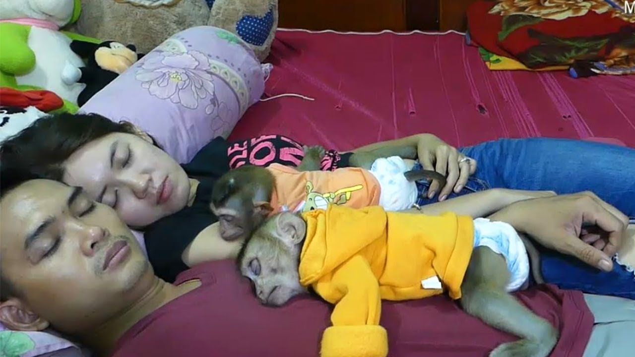 Wow Amazing!! Happy Family Dodo Mori Share Bed For Mom And Dad - YouTube