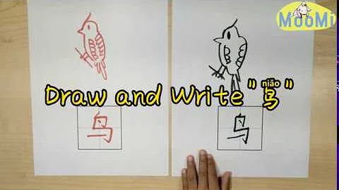 Chinese Character Draw and Write "鸟" | 画画写写学汉字