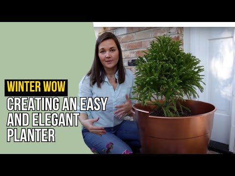 Easy Winter Planter | Catherine Arensberg