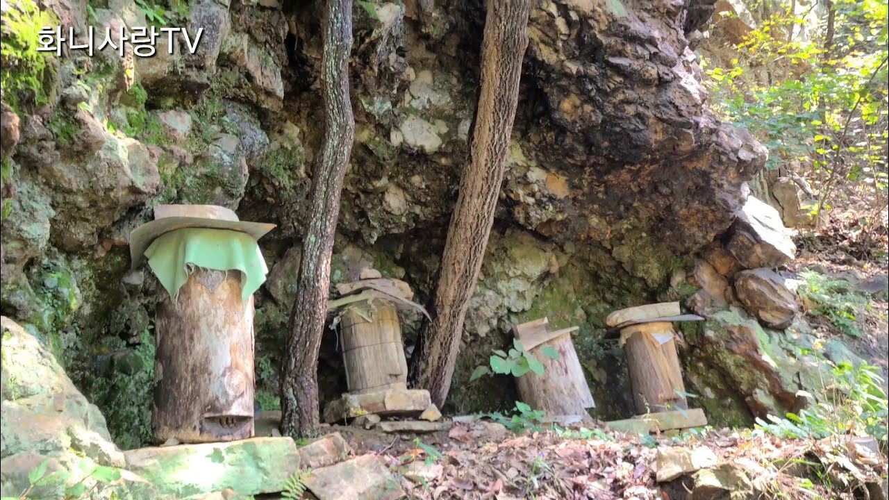 설통25통이 설치되있는 깊은골짜기를 3달만에 가보니...!!!