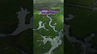 Famous Leadership demands that we make tough choices. Net Worth