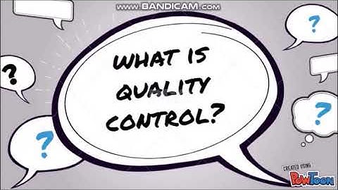 Aud689 GroupC_Sept17_Liability of Auditor & Quality Control