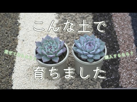 174 [Grow it cute? Grow it big?] With a little ingenuity, you can