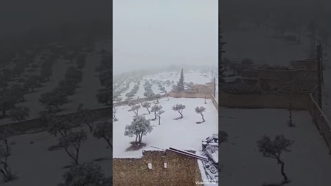 الثلوج والضباب في ضيعة عين الحجر #تابعونا لاخر الفيديو #ولاتنسوا الايك و#الاشتراك 👍