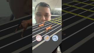 Animal racing challange 🐴🦈🐇